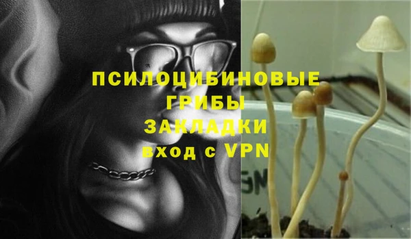 меф Нефтегорск