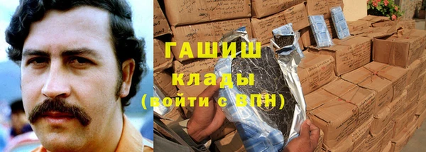 индика Надым