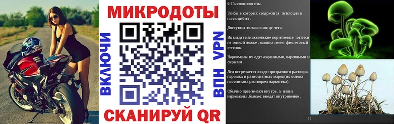 Псилоцибиновые грибы ЛСД mega как войти Лодейное Поле