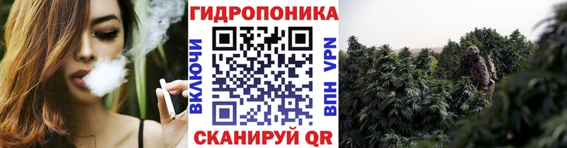 нарко площадка клад  Лодейное Поле  Бошки марихуана Bruce Banner  хочу  